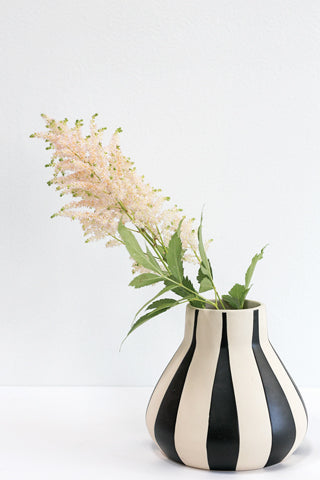 Tribeca Budvase Online now