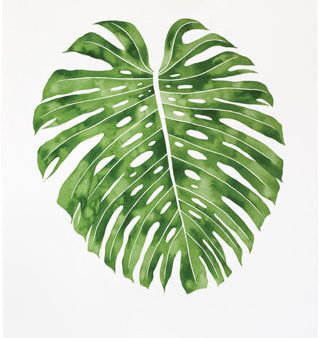 Monstera Print Online now