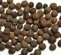 Allspice Discount