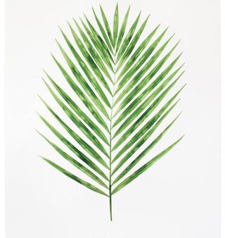 Areca Palm Print Sale