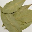 Bay Leaf Whole Sale