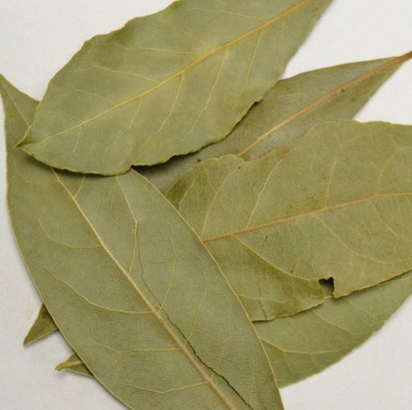 Bay Leaf Whole Sale