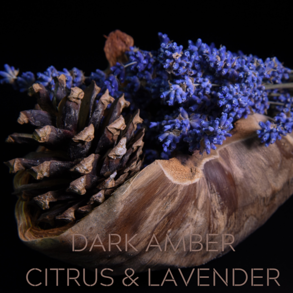 DARK AMBER, CITRUS & LAVENDER For Sale