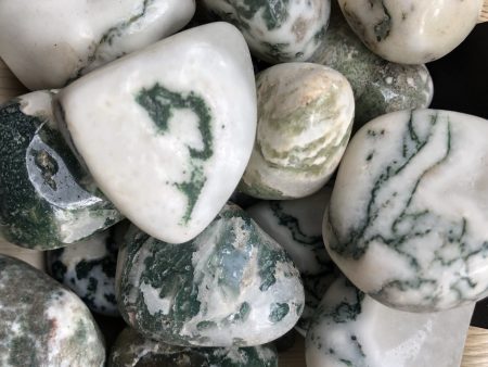 Tree Agate Tumbles Fashion