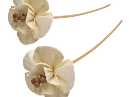 LILY FLOWER WITH RATTAN on Sale