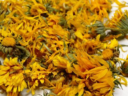 Calendula Online Hot Sale