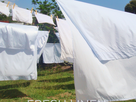 FRESH LINEN Hot on Sale