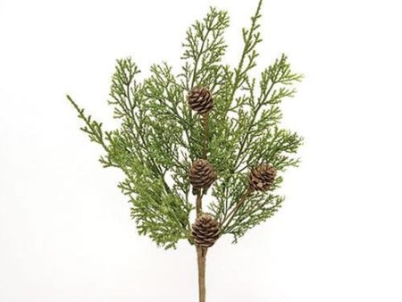 14  Western Cedar & Pinecone Pick Supply