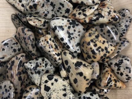 Dalmatian Jasper Tumbles Fashion