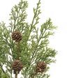 14  Western Cedar & Pinecone Pick Supply