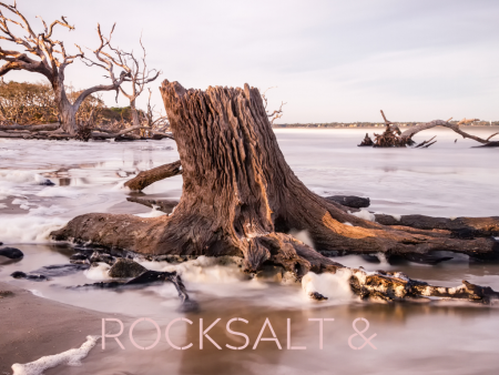 ROCKSALT & DRIFTWOOD on Sale