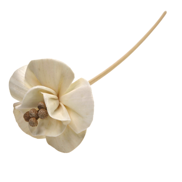 LILY FLOWER WITH RATTAN on Sale