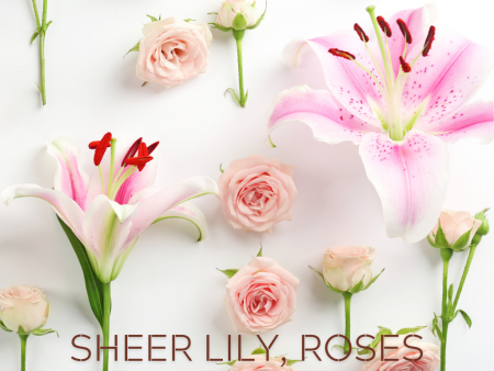 SHEER LILY, ROSES & YLANG Online now