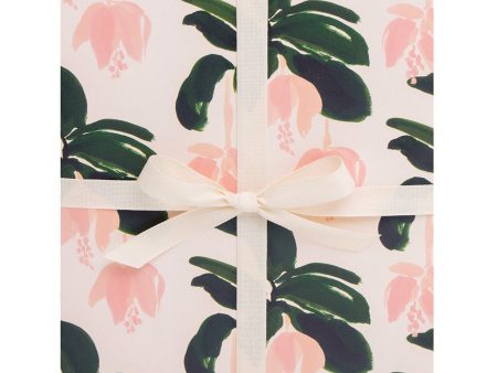 Medinilla Gift Wrap on Sale