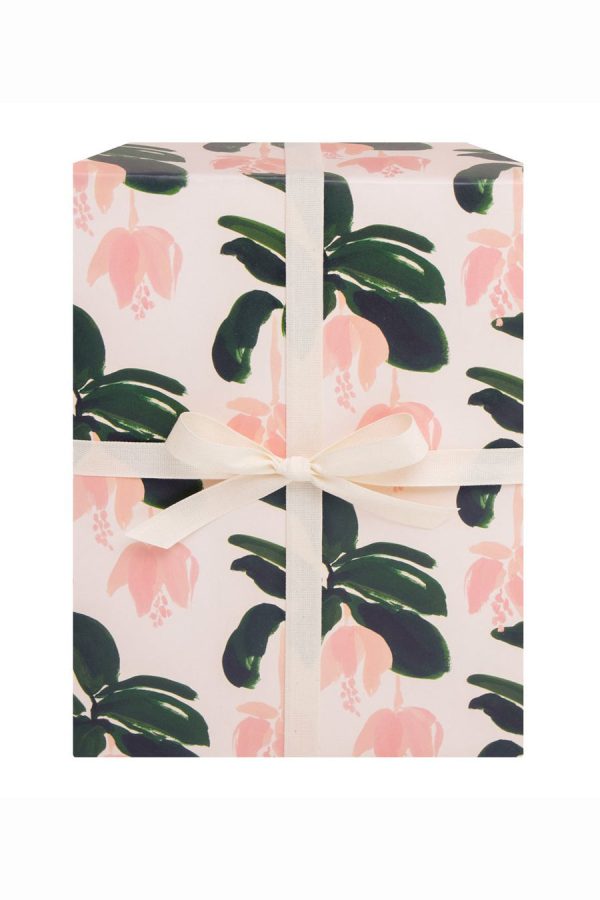 Medinilla Gift Wrap on Sale