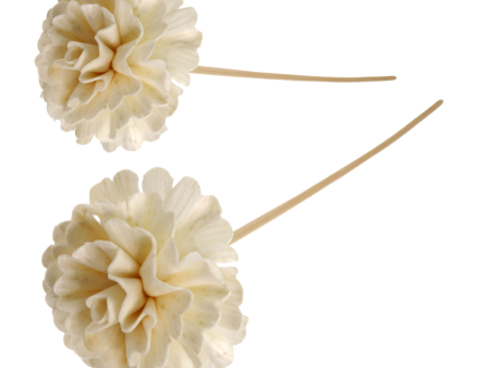 CARNATION FLOWER WITH RATTAN For Cheap