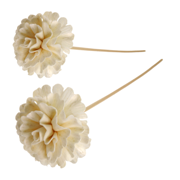 CARNATION FLOWER WITH RATTAN For Cheap