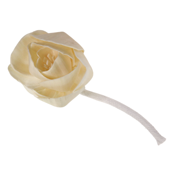 ROSE WITH A STRING OF COTTON For Cheap