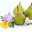 PEAR & FREESIA Online