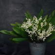 LILY OF THE VALLEY & SANDALWOOD Cheap