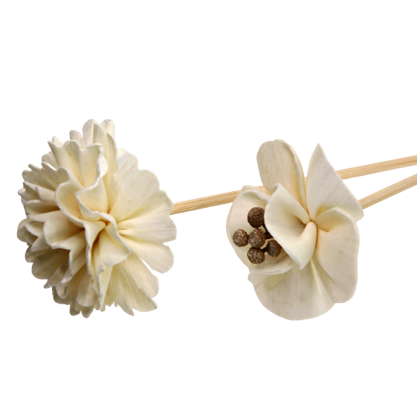 LILY FLOWER WITH RATTAN on Sale